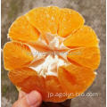 新鮮なジューシーな甘いマンドリンオレンジ